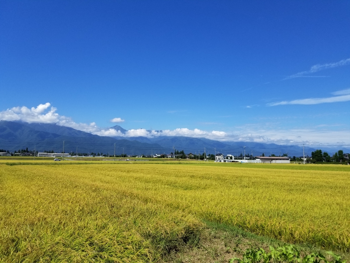 f:id:msx3:20210910110141j:plain