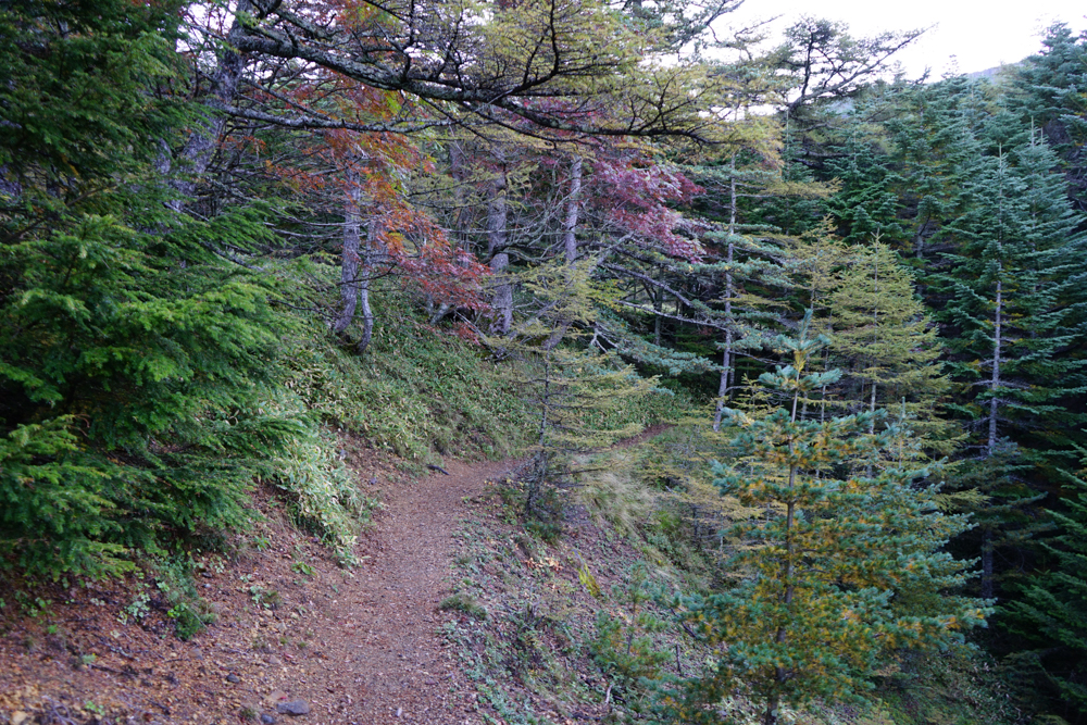 f:id:msx3:20210923065516j:plain