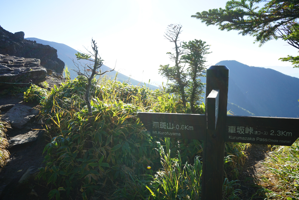 f:id:msx3:20210923072313j:plain