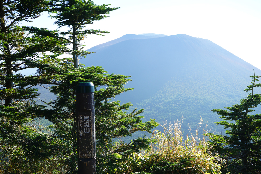 f:id:msx3:20210923074428j:plain