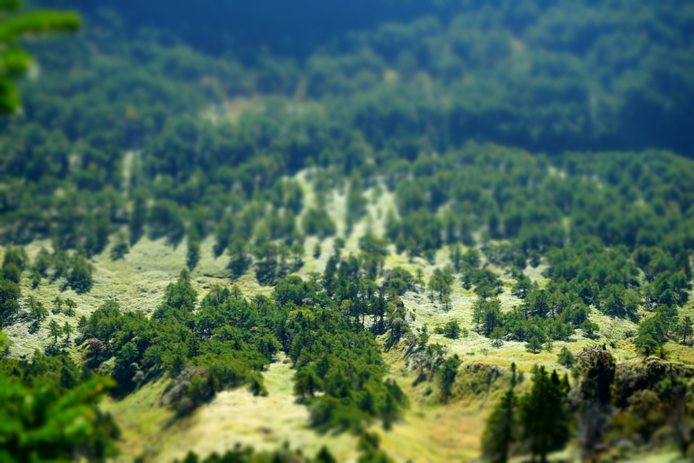 f:id:msx3:20210923074539j:plain