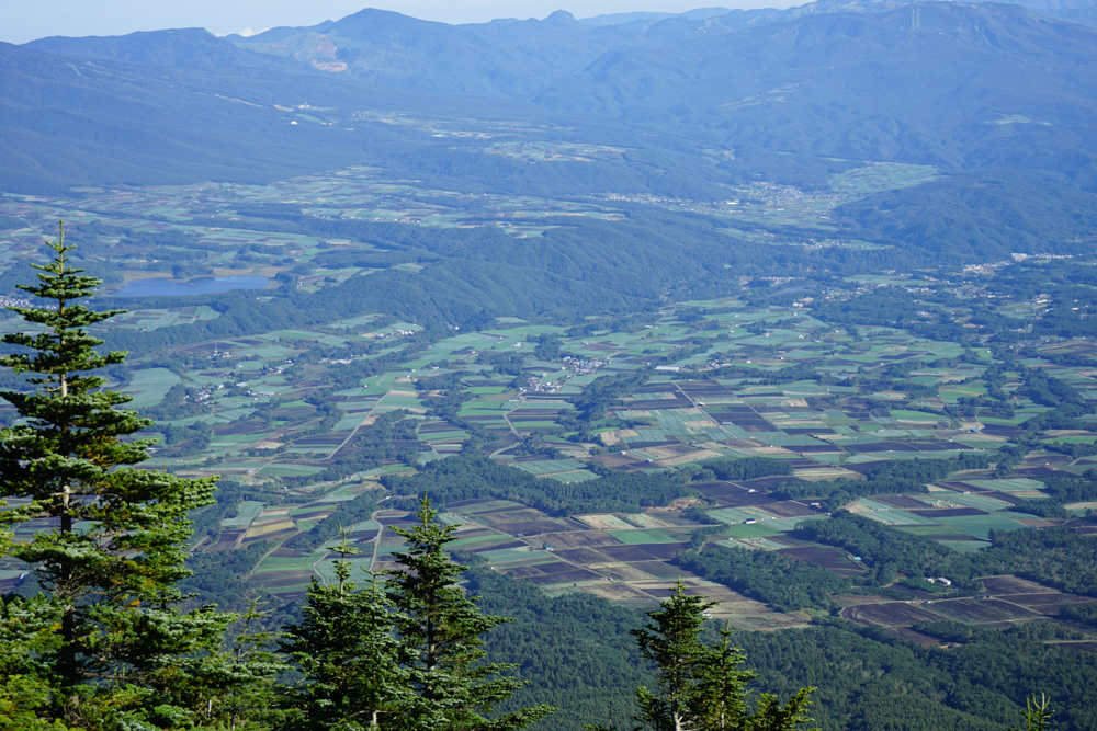 f:id:msx3:20210923080733j:plain