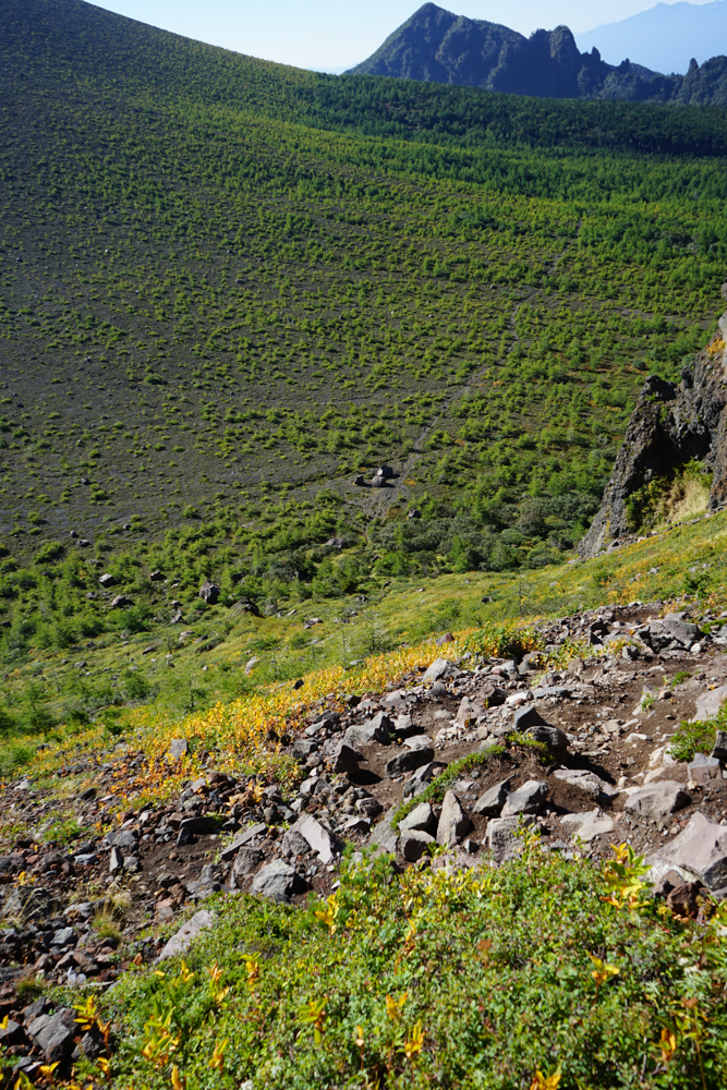 f:id:msx3:20210923083736j:plain