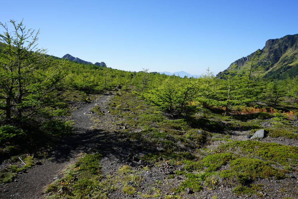 f:id:msx3:20210923084629j:plain