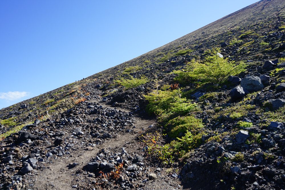 f:id:msx3:20210923090909j:plain