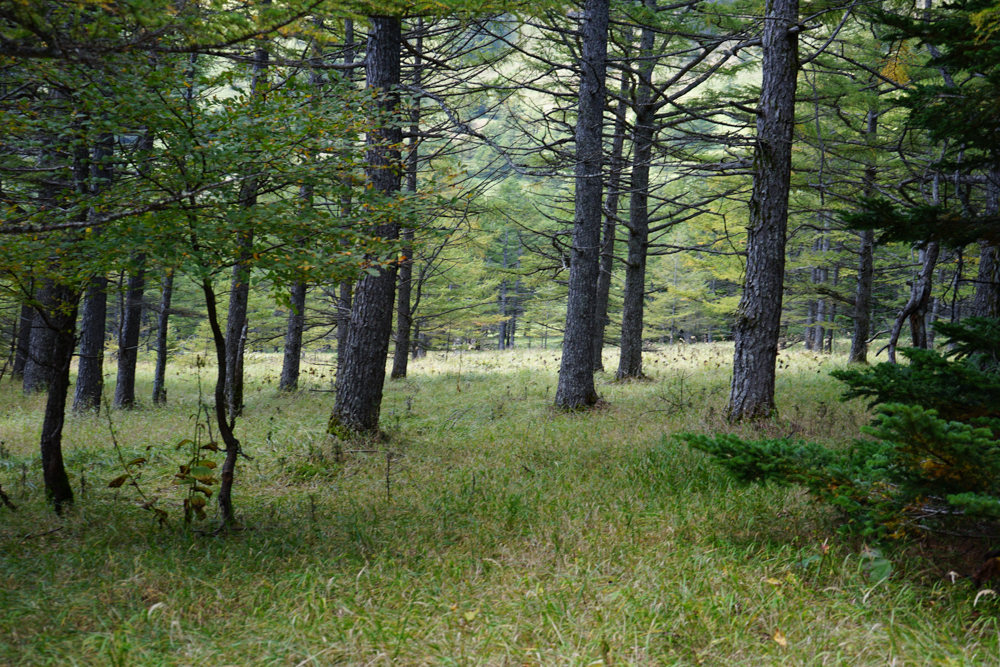 f:id:msx3:20210923114008j:plain