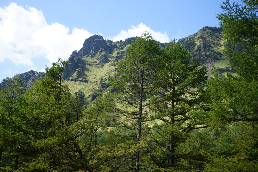 f:id:msx3:20210923114056j:plain