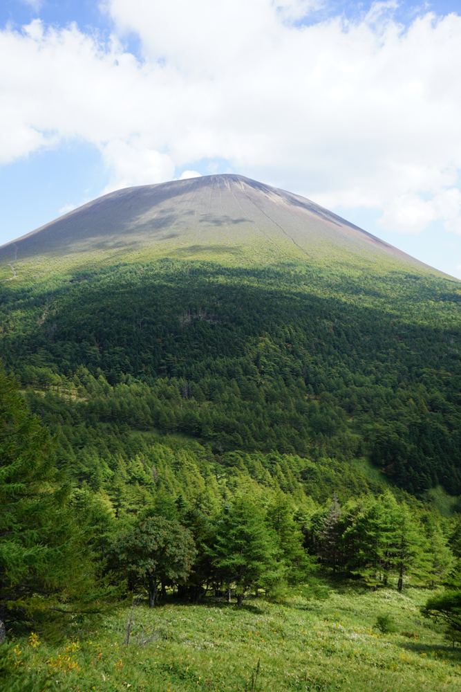 f:id:msx3:20210923115918j:plain