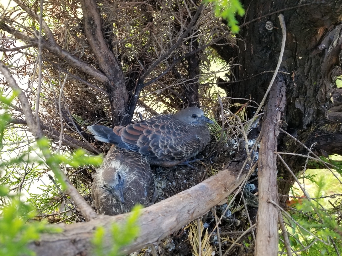 f:id:msx3:20210927082713j:plain