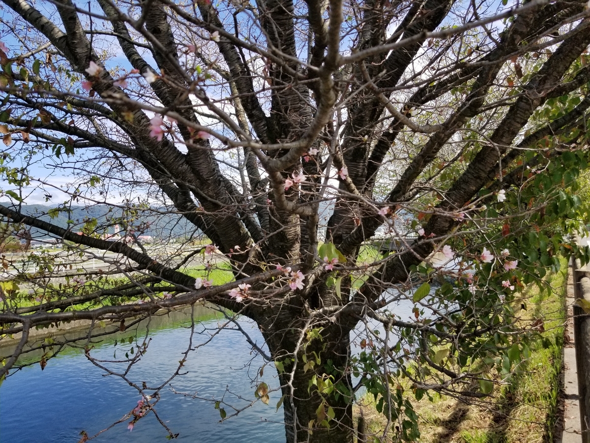 f:id:msx3:20210928123854j:plain