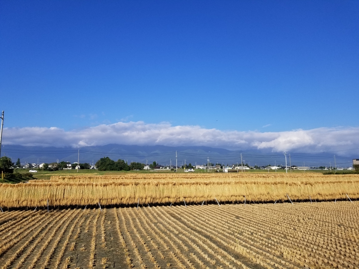 f:id:msx3:20210930075741j:plain