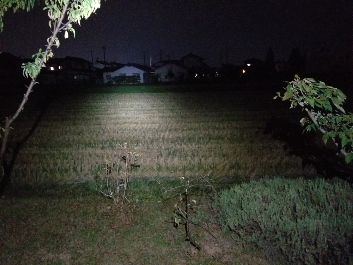 f:id:msx3:20211016201944j:plain