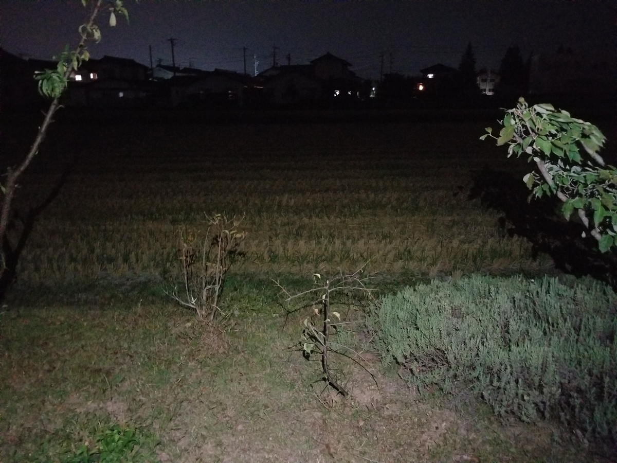 f:id:msx3:20211016201952j:plain