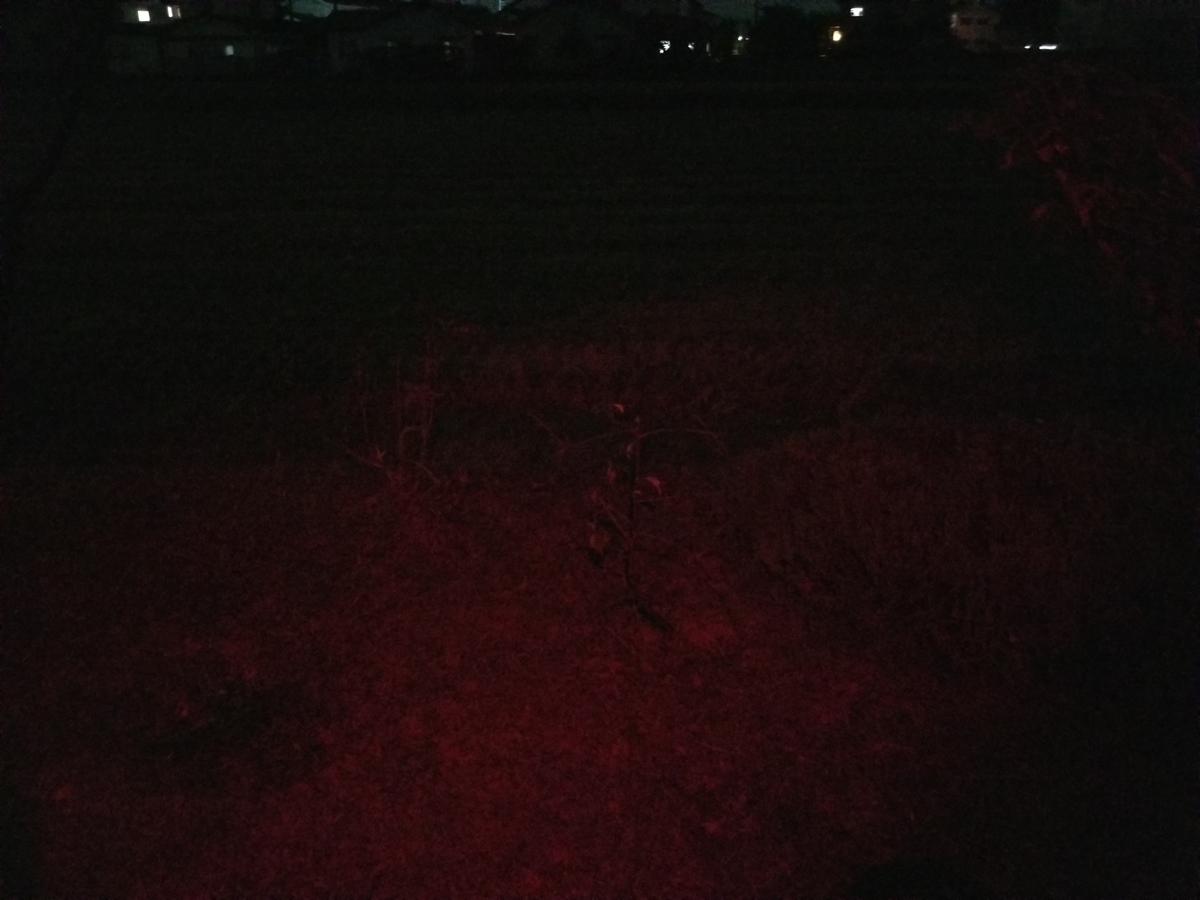 f:id:msx3:20211016202009j:plain