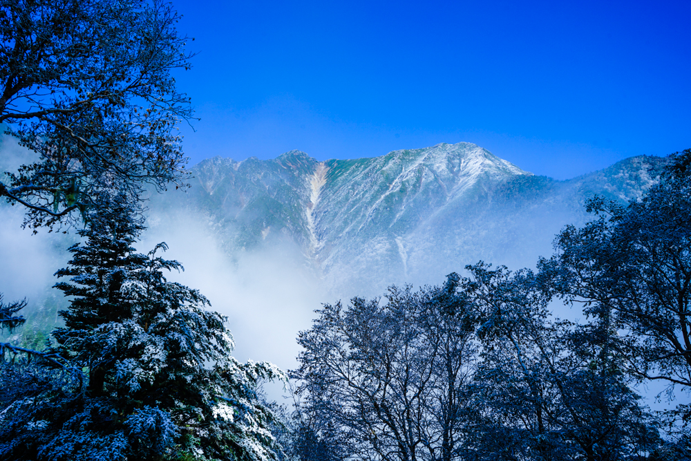 f:id:msx3:20211018082007j:plain