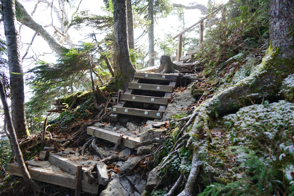 f:id:msx3:20211018093211j:plain