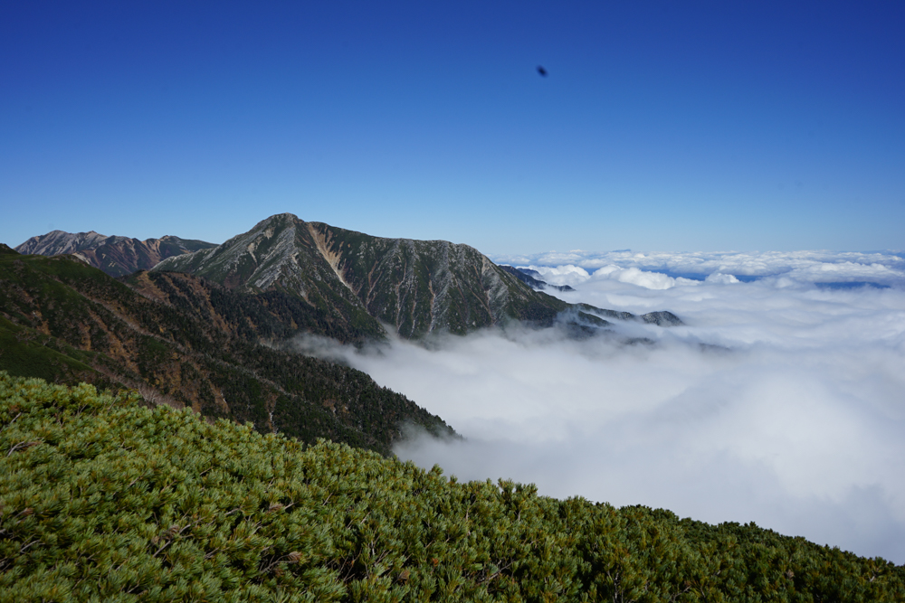 f:id:msx3:20211018095627j:plain