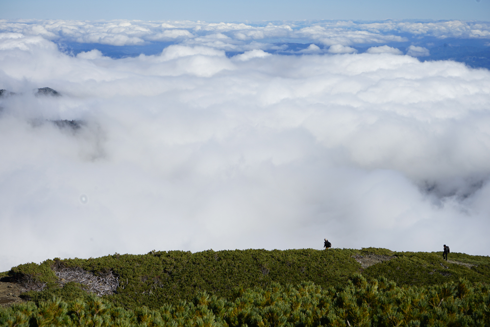 f:id:msx3:20211018102411j:plain