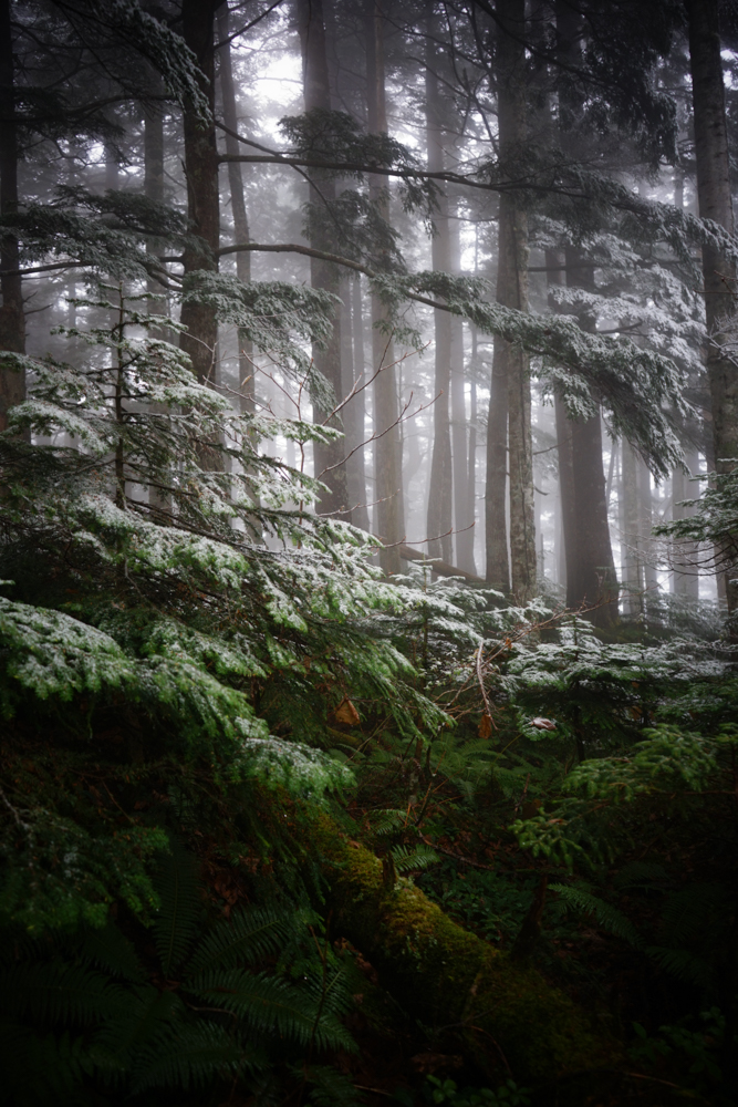 f:id:msx3:20211018121356j:plain