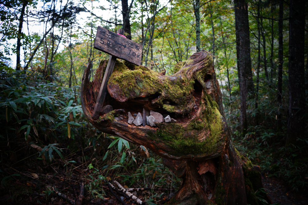 f:id:msx3:20211018125527j:plain