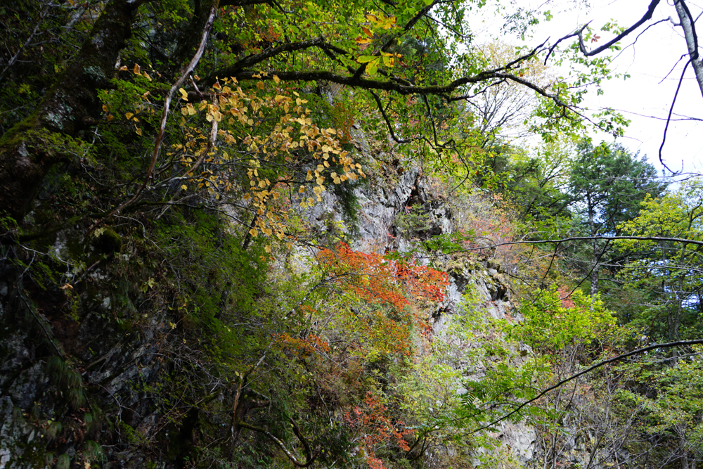 f:id:msx3:20211018132243j:plain