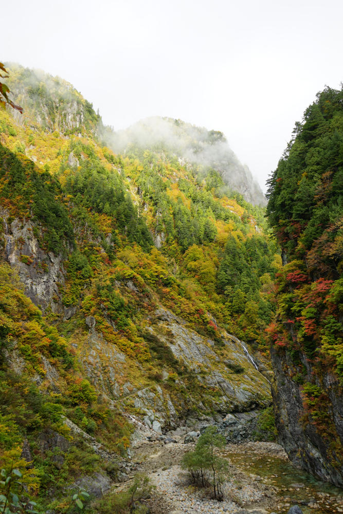 f:id:msx3:20211026082037j:plain