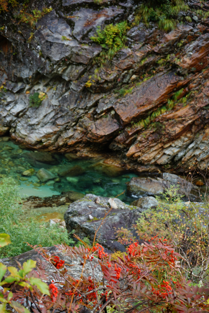 f:id:msx3:20211026092255j:plain