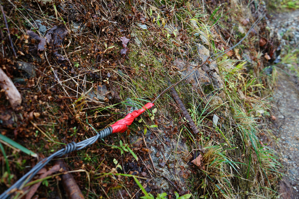 f:id:msx3:20211026093726j:plain