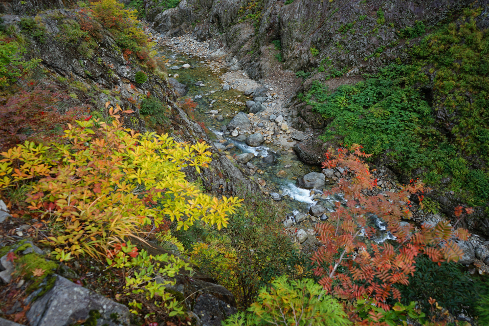 f:id:msx3:20211026094507j:plain