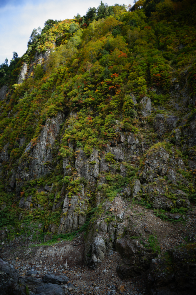 f:id:msx3:20211026095249j:plain