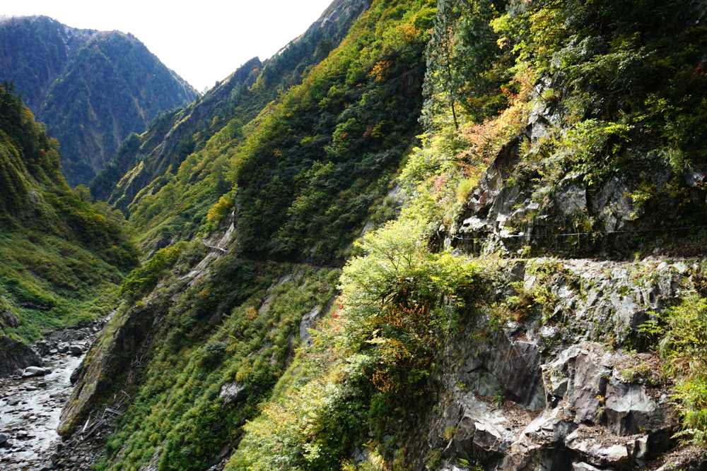 f:id:msx3:20211026111907j:plain