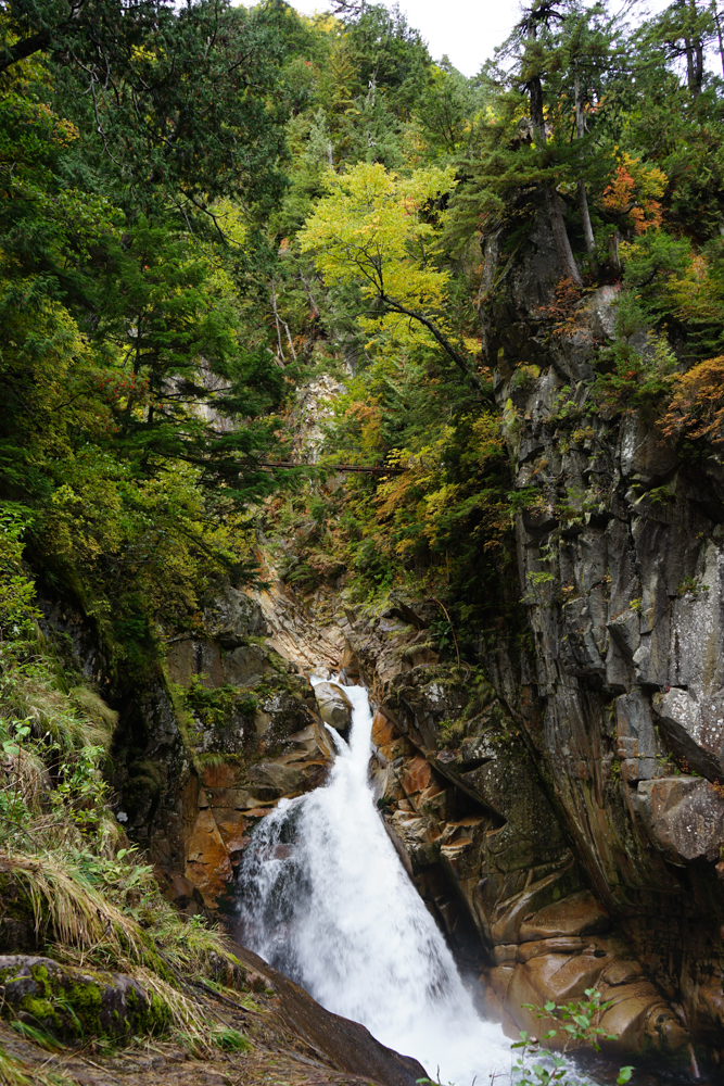 f:id:msx3:20211026113135j:plain