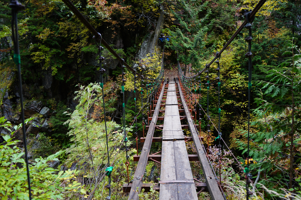 f:id:msx3:20211026114717j:plain