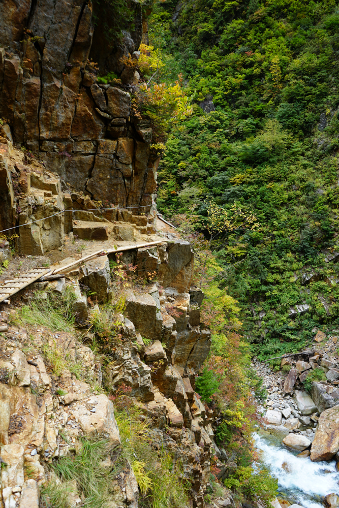 f:id:msx3:20211026115452j:plain