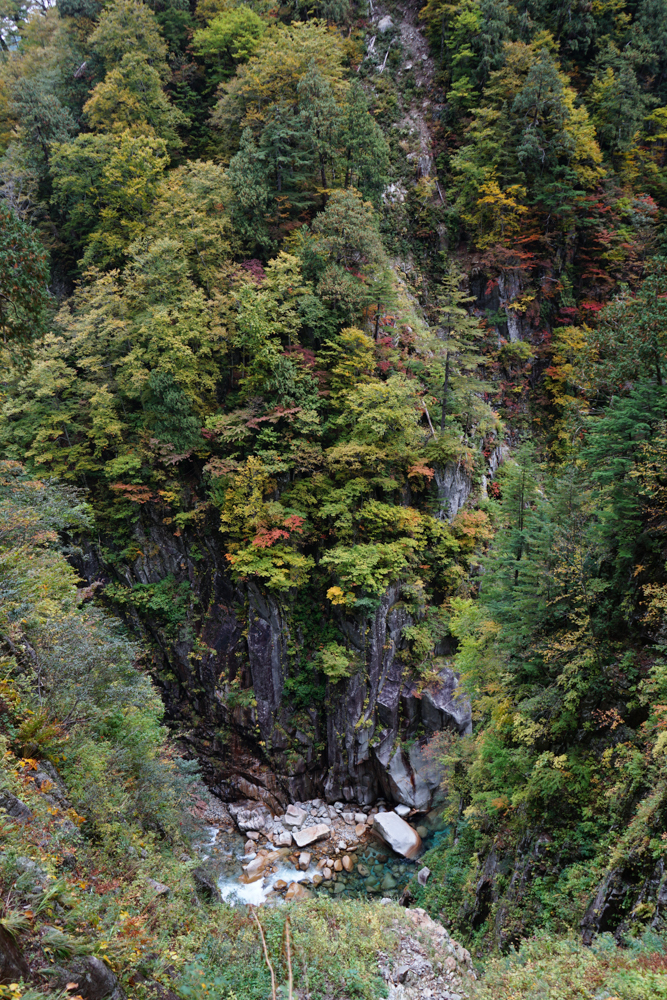 f:id:msx3:20211026122734j:plain