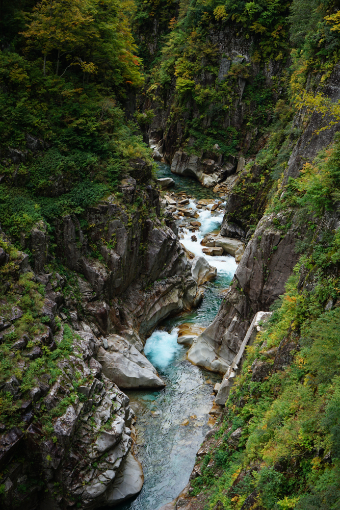 f:id:msx3:20211026123914j:plain