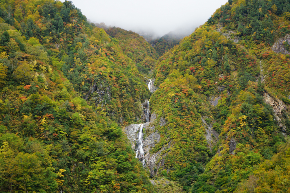 f:id:msx3:20211026132036j:plain