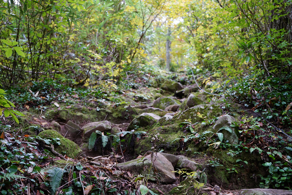 f:id:msx3:20211026134327j:plain