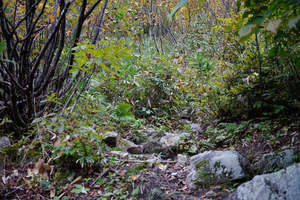 f:id:msx3:20211027063643j:plain