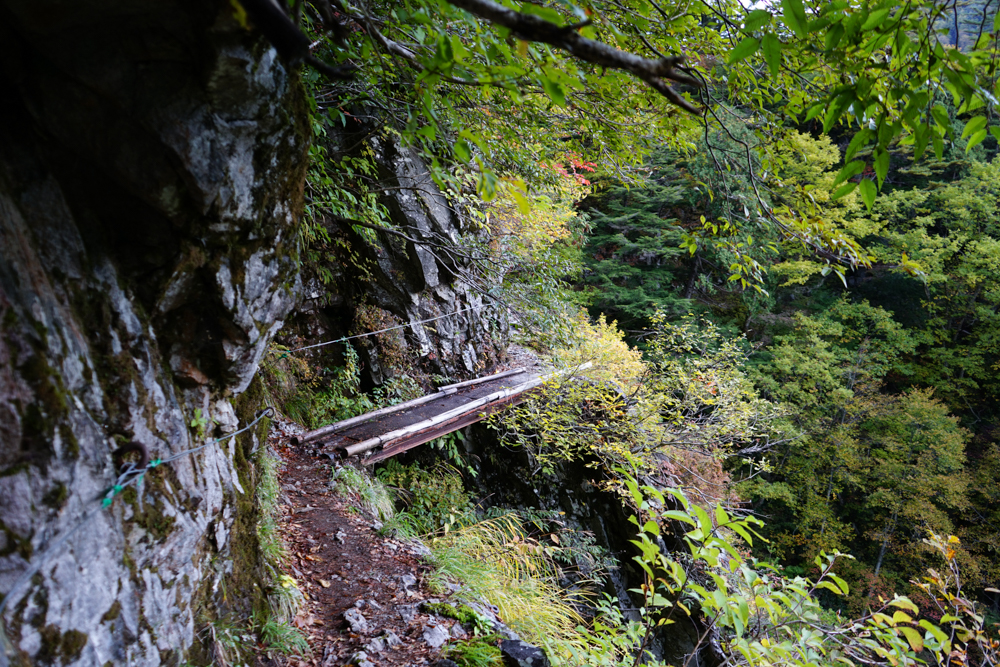 f:id:msx3:20211027070452j:plain