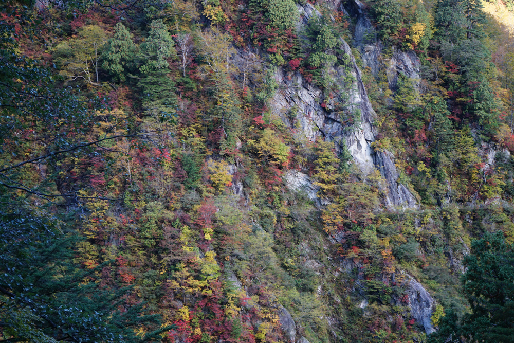 f:id:msx3:20211027072257j:plain