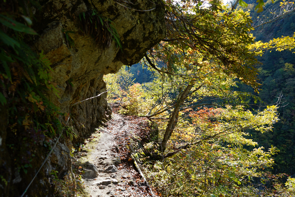 f:id:msx3:20211027074521j:plain