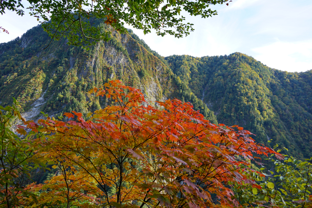 f:id:msx3:20211027080913j:plain