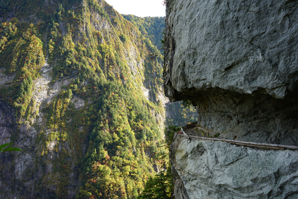 f:id:msx3:20211027082122j:plain