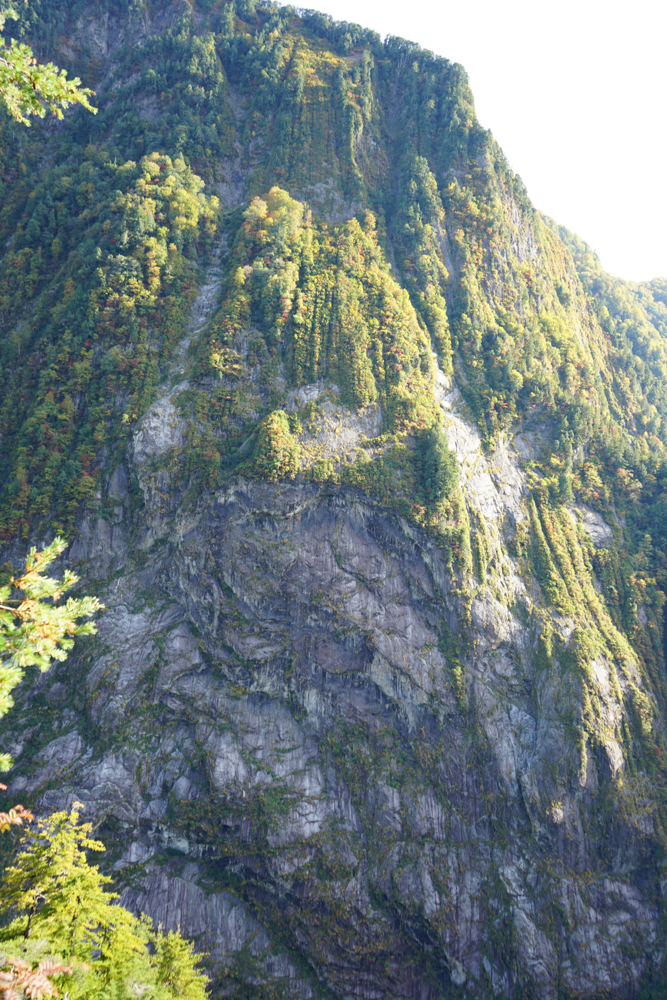 f:id:msx3:20211027084958j:plain