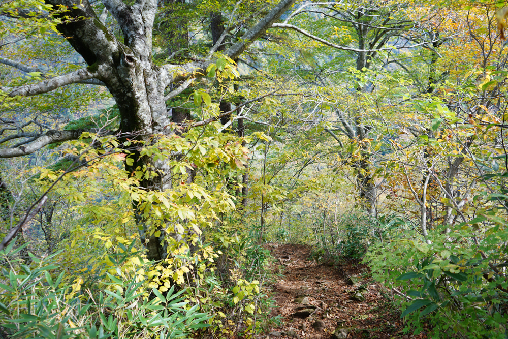 f:id:msx3:20211027094213j:plain