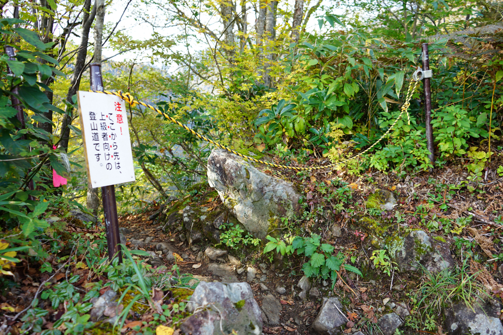 f:id:msx3:20211027094903j:plain