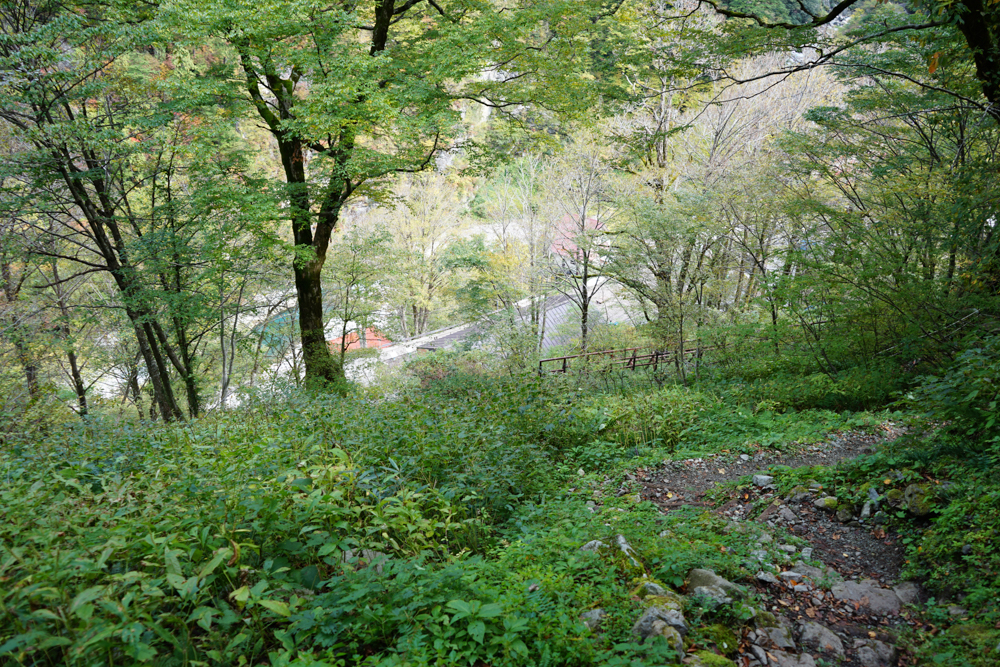 f:id:msx3:20211027100548j:plain