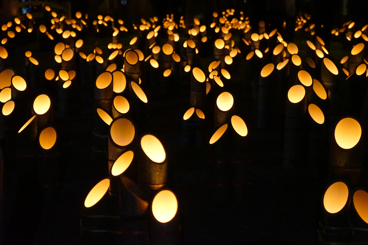 f:id:msx3:20211204173716j:plain