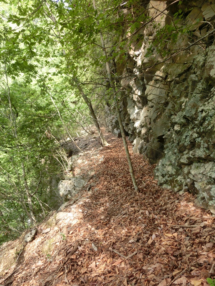 f:id:msx4:20161102200041j:plain